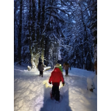 photo miniature